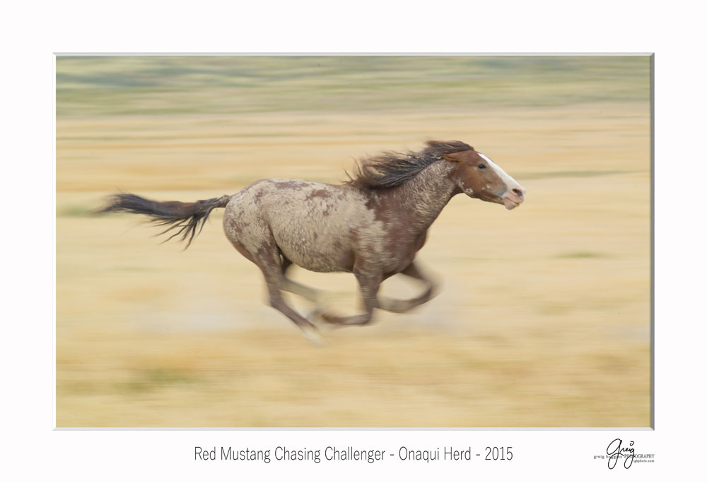 red mustang in motion